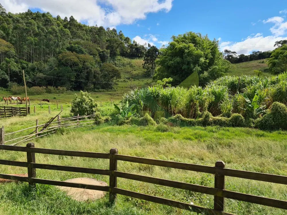 Sítio, 3 quartos, 51 hectares - Foto 8