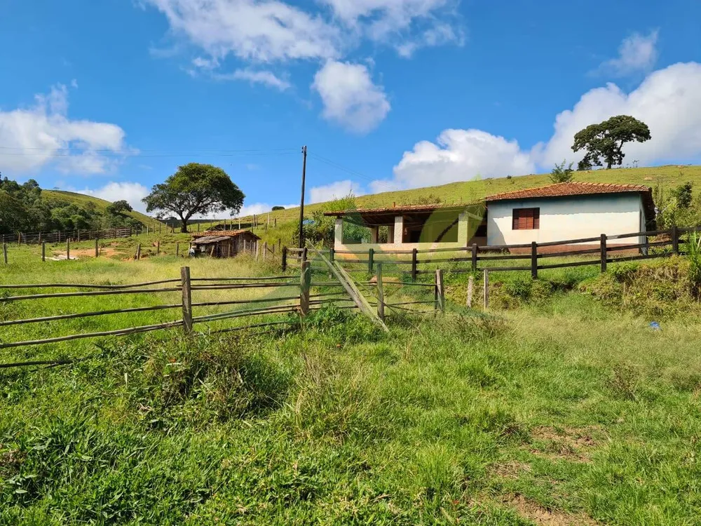 Sítio, 3 quartos, 51 hectares - Foto 13