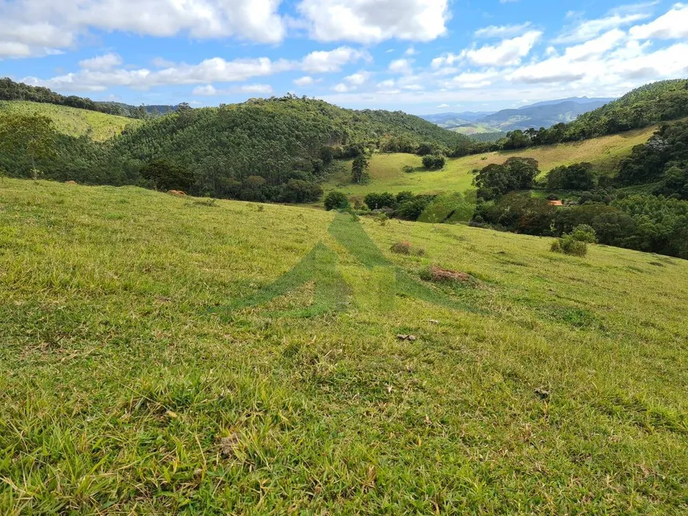 Sítio, 3 quartos, 51 hectares - Foto 16