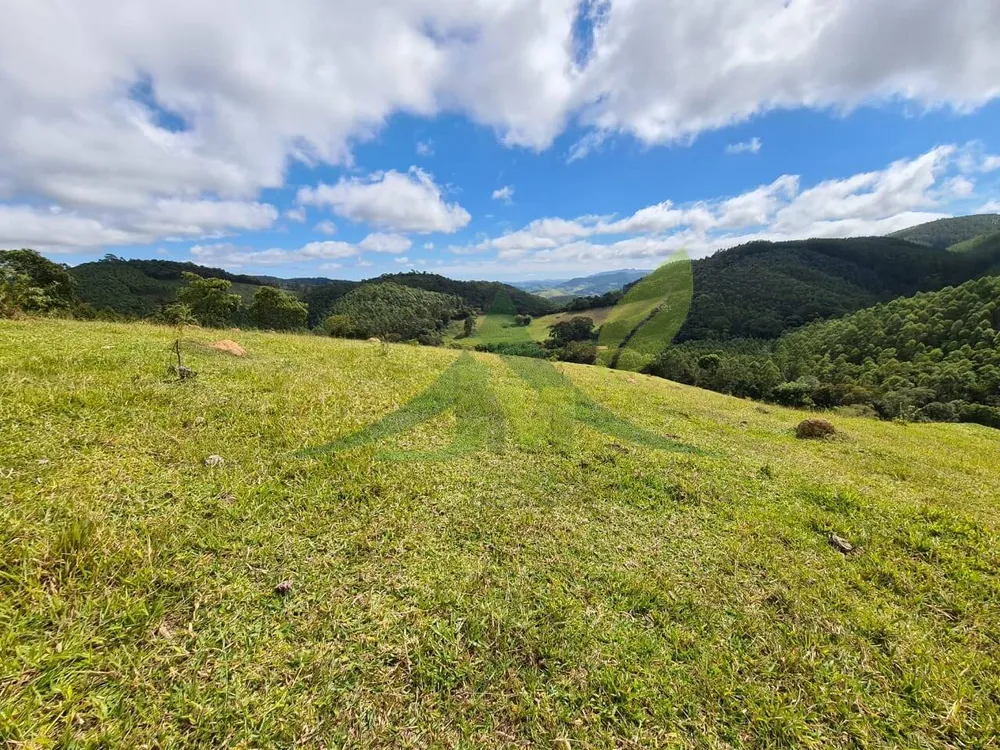 Sítio, 3 quartos, 51 hectares - Foto 14