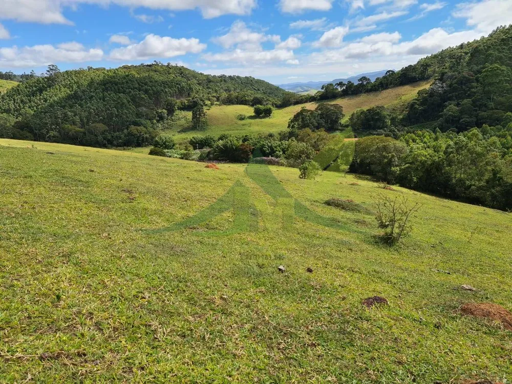 Sítio, 3 quartos, 51 hectares - Foto 15