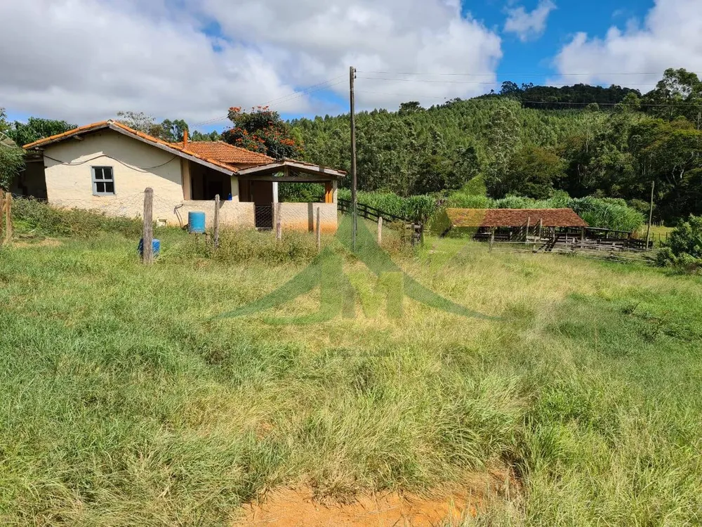Sítio, 3 quartos, 51 hectares - Foto 4