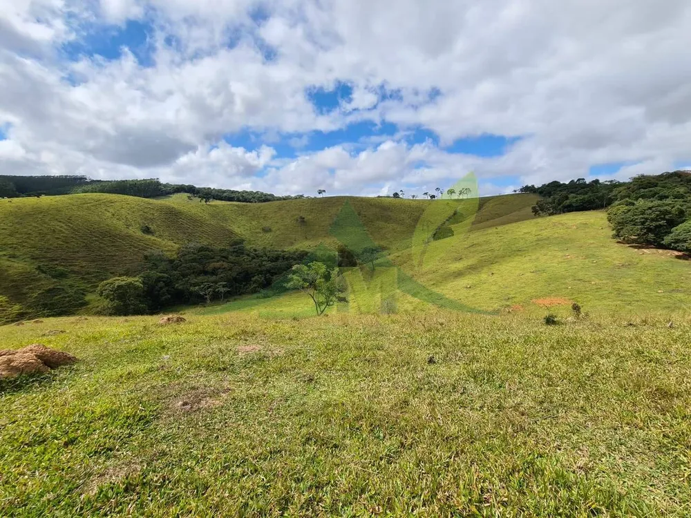Sítio, 3 quartos, 51 hectares - Foto 11