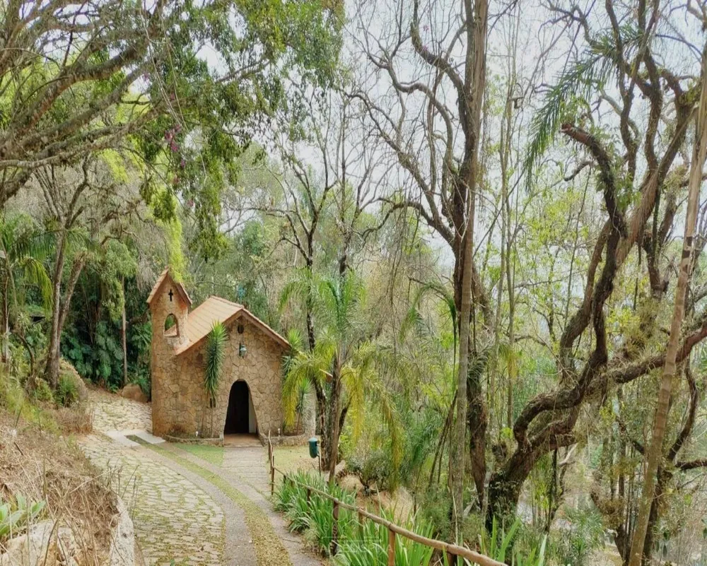 Terreno - Foto 3