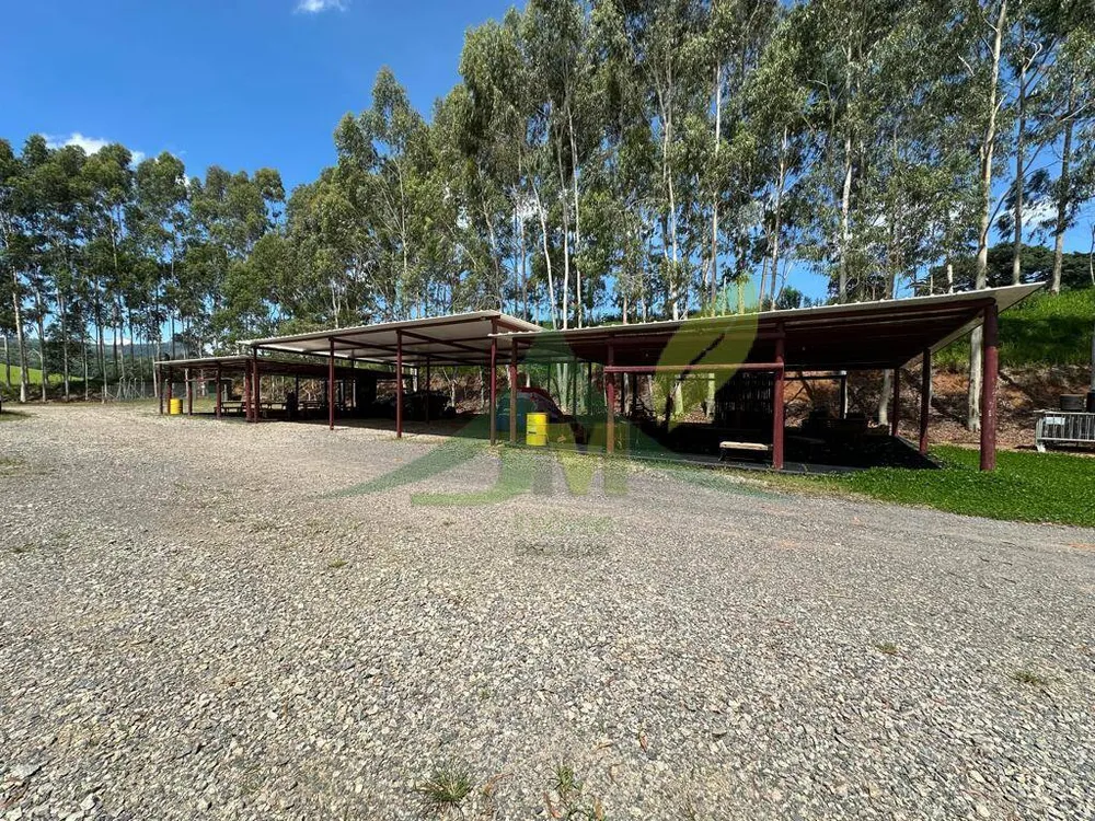 Fazenda, 315 hectares - Foto 1