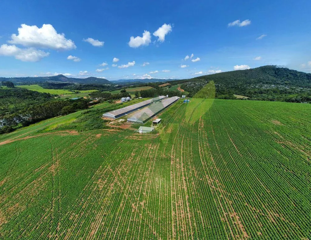 Fazenda, 315 hectares - Foto 12