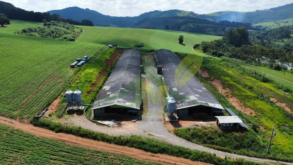 Fazenda, 315 hectares - Foto 2