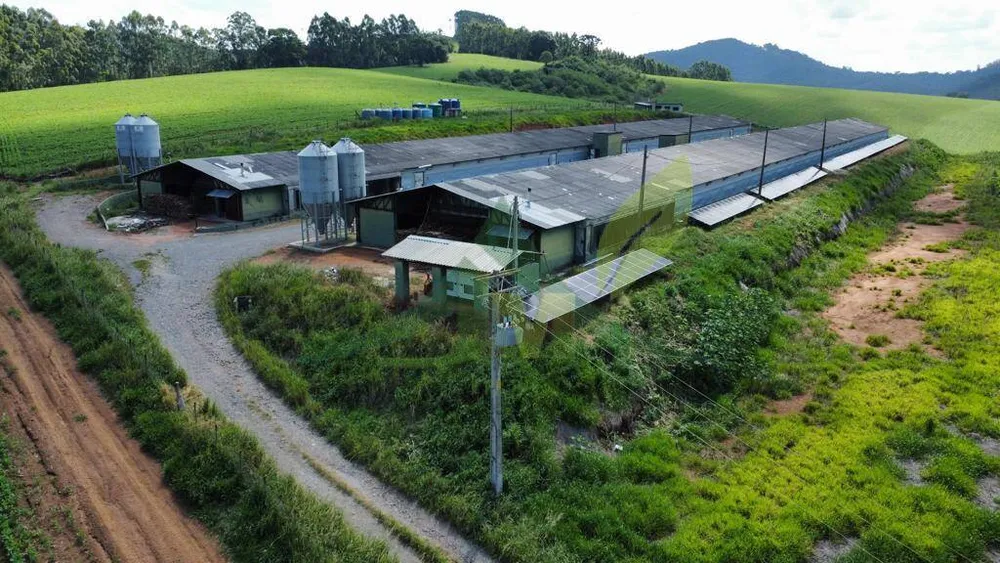 Fazenda, 315 hectares - Foto 6