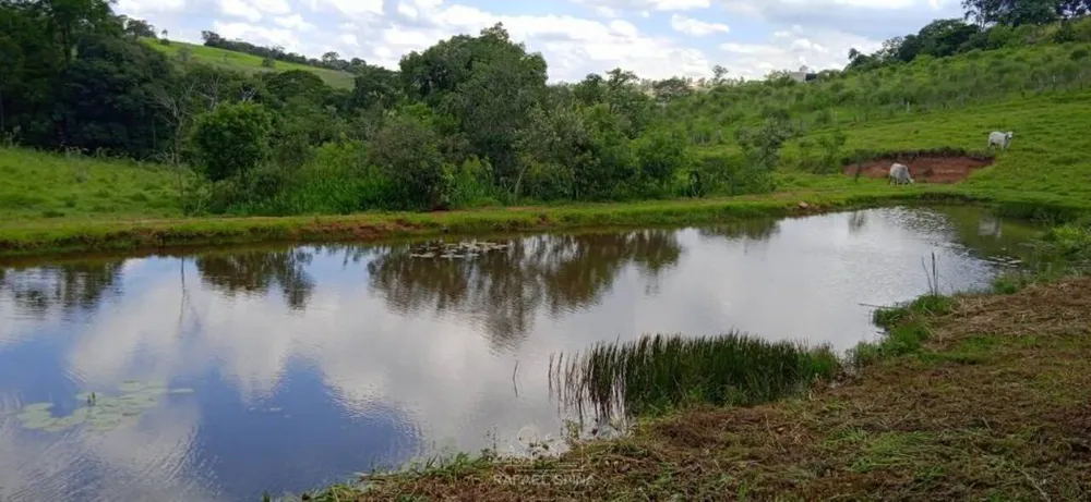 Terreno - Foto 4