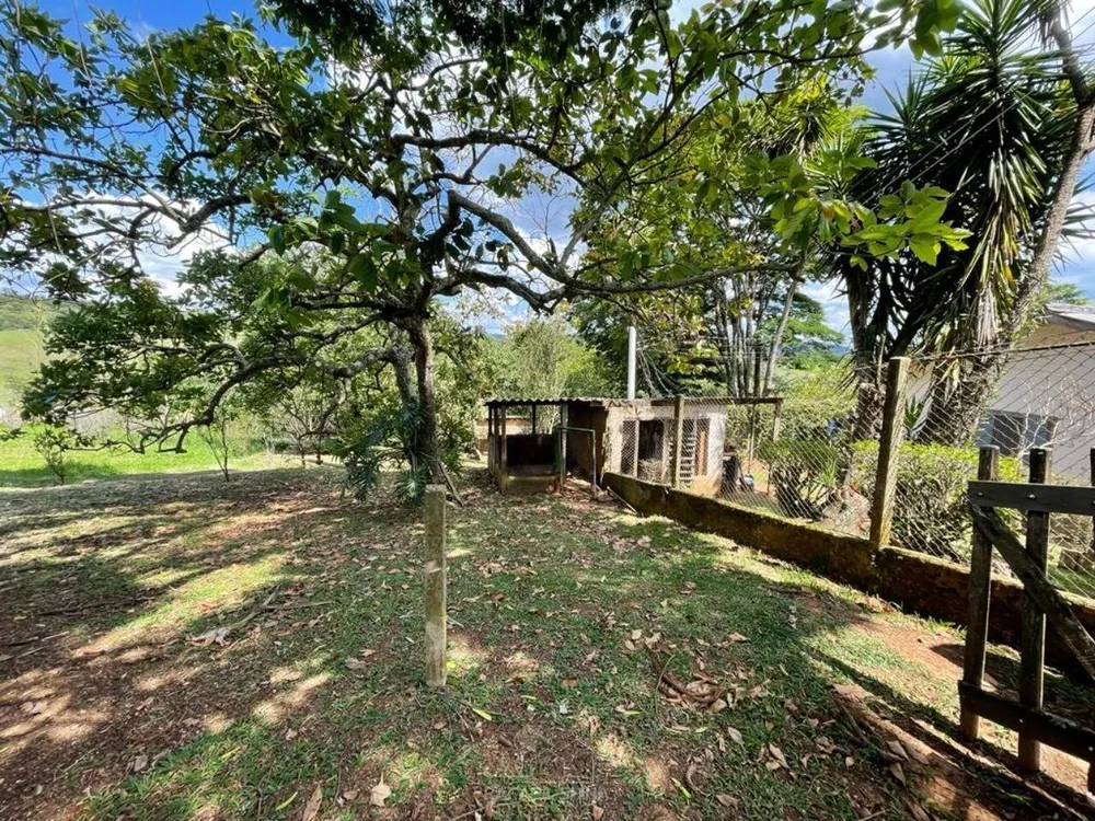 Terreno - Foto 6