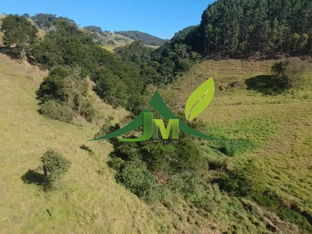 Terreno, 3 hectares - Foto 4