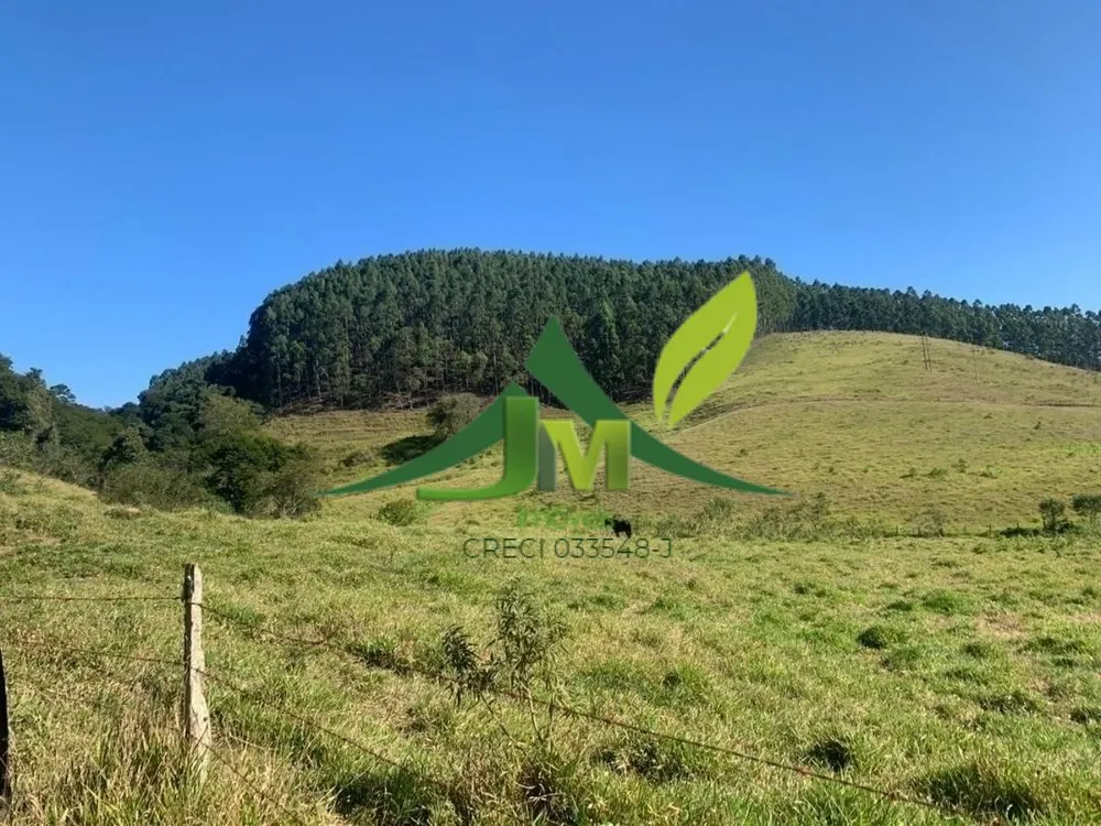 Terreno, 3 hectares - Foto 7