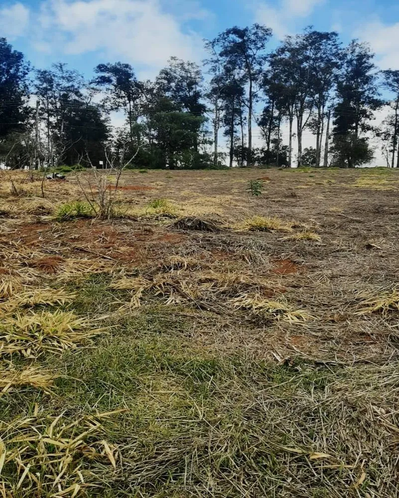 Terreno - Foto 1