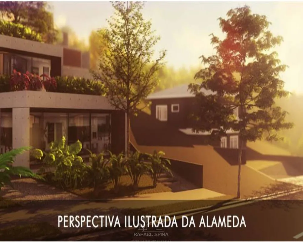 Terreno - Foto 3