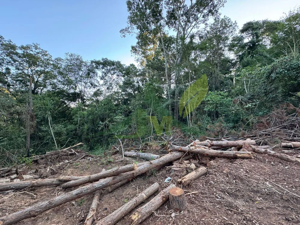 Terreno, 2 hectares - Foto 6