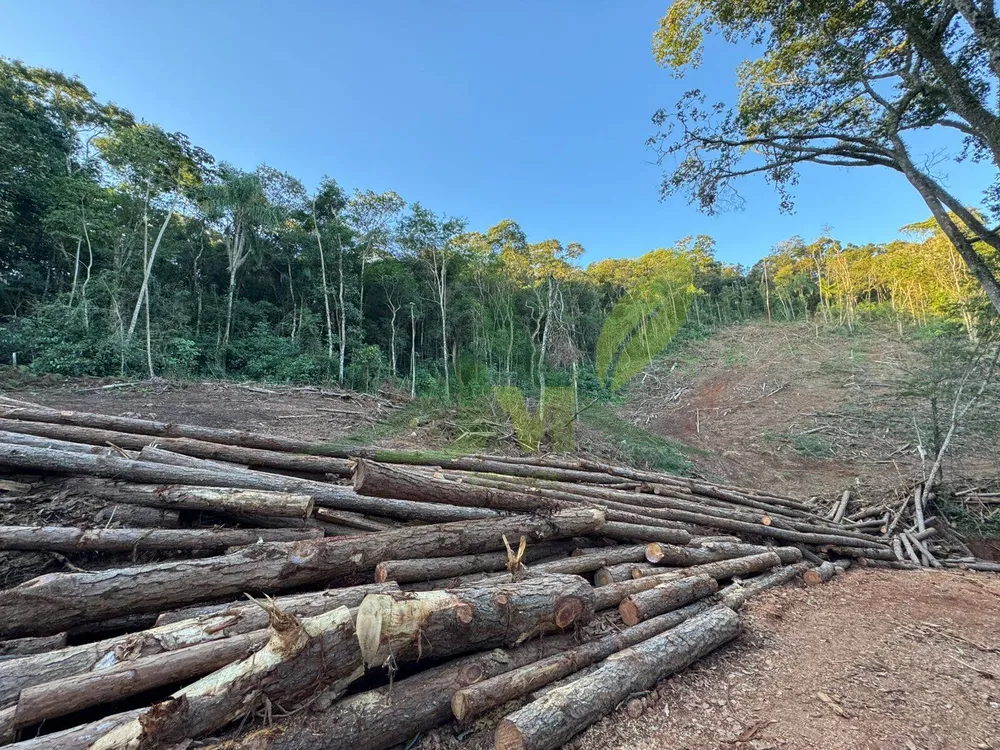 Terreno, 2 hectares - Foto 7