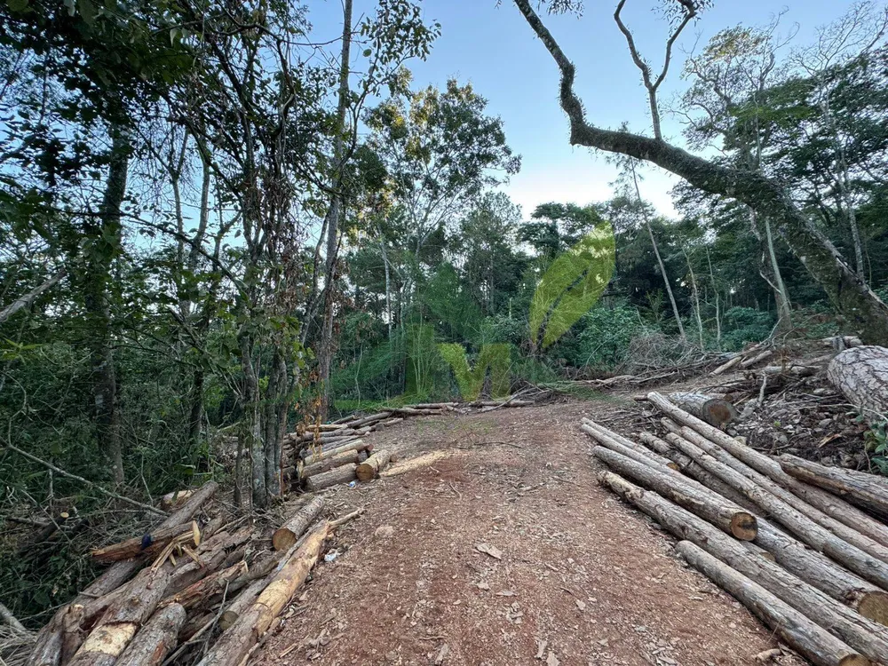 Terreno, 2 hectares - Foto 1