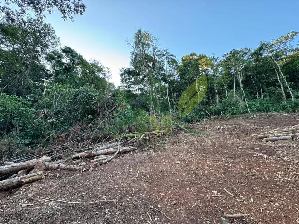 Terreno, 2 hectares - Foto 4