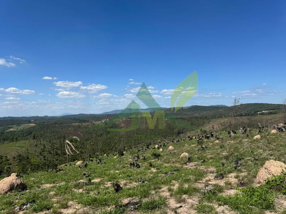 Terreno, 187 hectares - Foto 4