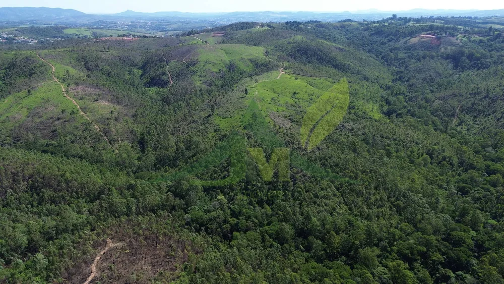 Terreno, 187 hectares - Foto 3
