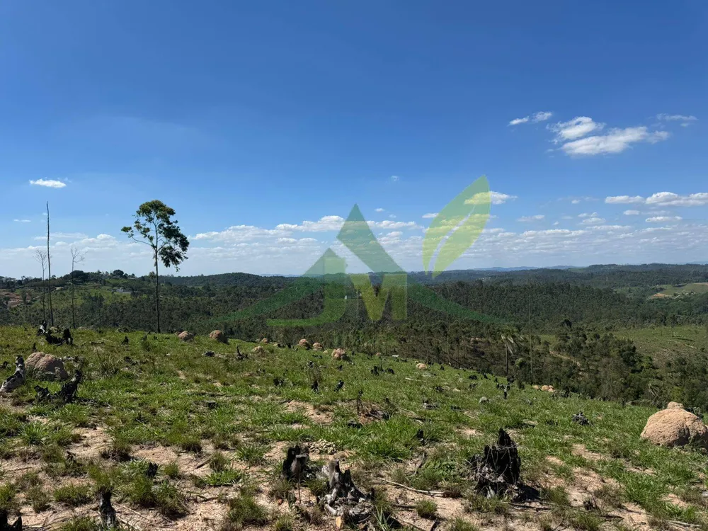 Terreno, 187 hectares - Foto 6