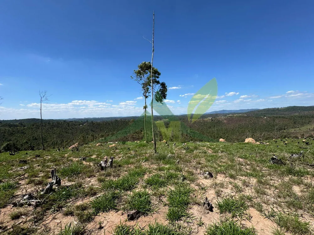 Terreno, 187 hectares - Foto 7