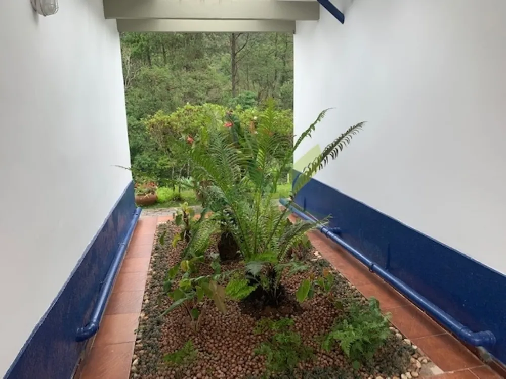 Chácara, 3 quartos, 7400 m² - Foto 5