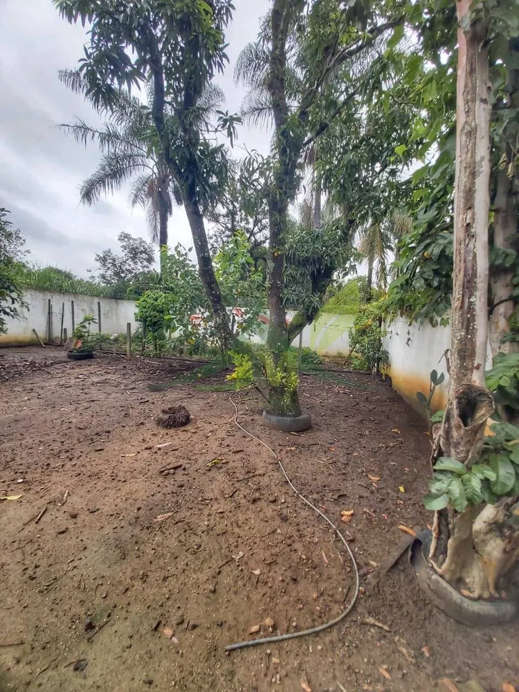 Casa, 2 quartos, 500 m² - Foto 6
