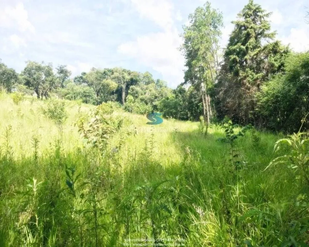 Terreno - Foto 7