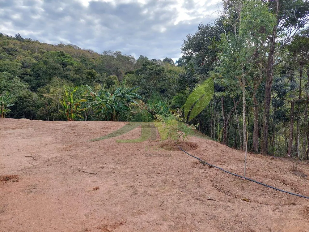 Terreno, 5300 m² - Foto 1