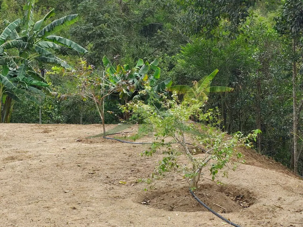 Terreno, 5300 m² - Foto 7