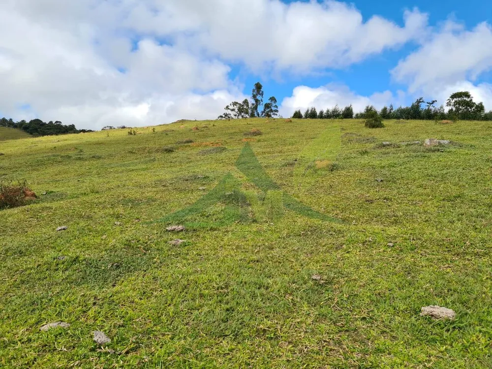 Sítio, 2 quartos, 484 hectares - Foto 7