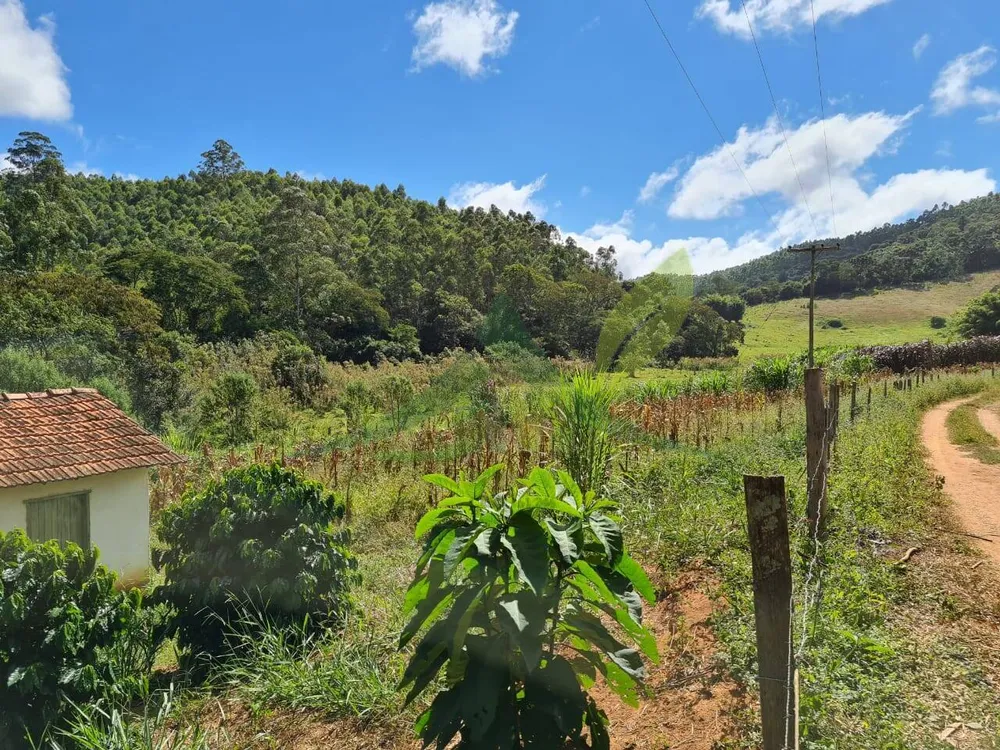 Sítio, 2 quartos, 484 hectares - Foto 1
