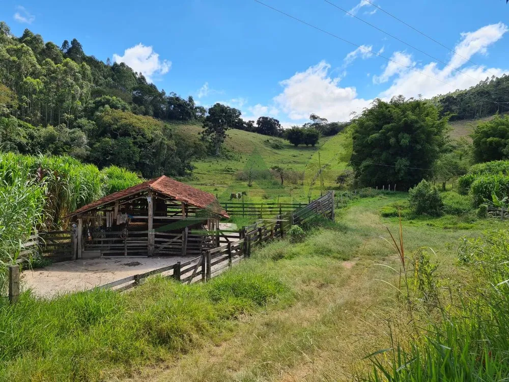 Sítio, 2 quartos, 484 hectares - Foto 3