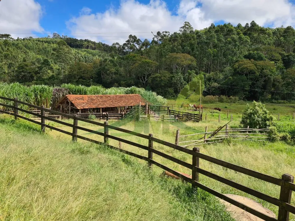 Sítio, 2 quartos, 484 hectares - Foto 4