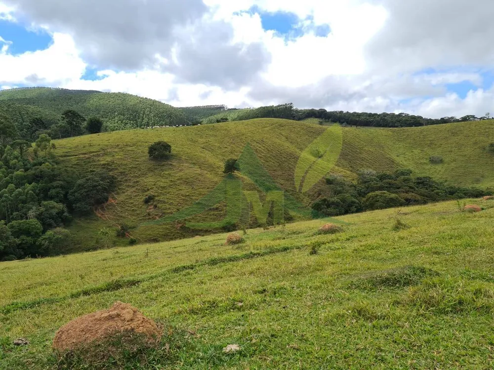 Sítio, 2 quartos, 484 hectares - Foto 1