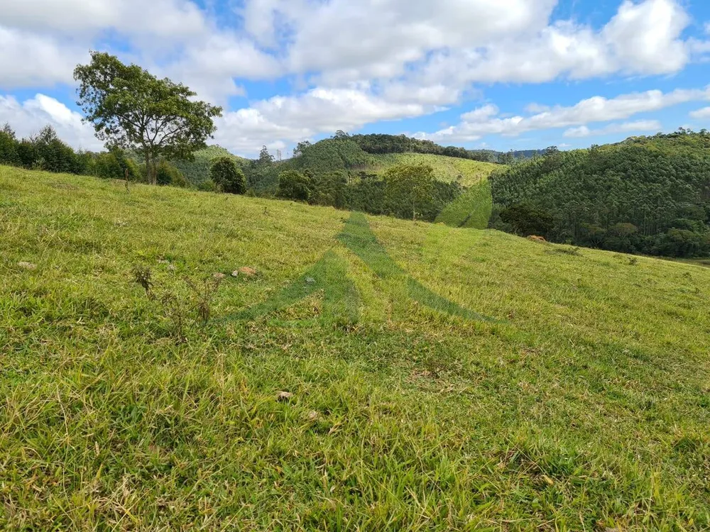 Sítio, 2 quartos, 484 hectares - Foto 9