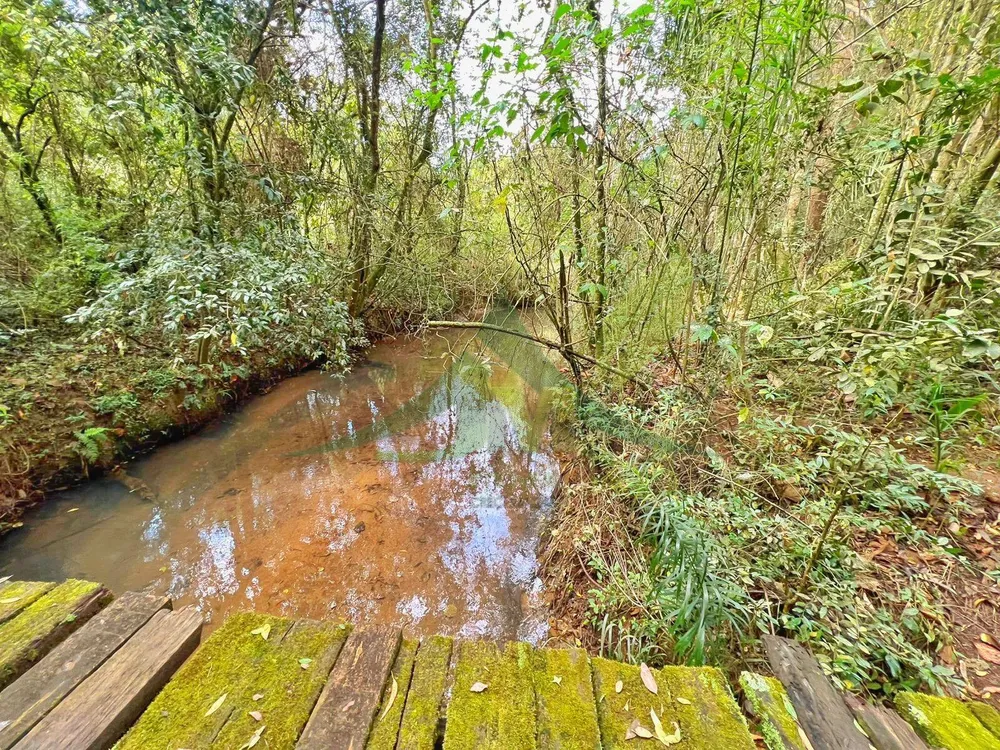 Sítio, 3 quartos, 12 hectares - Foto 1