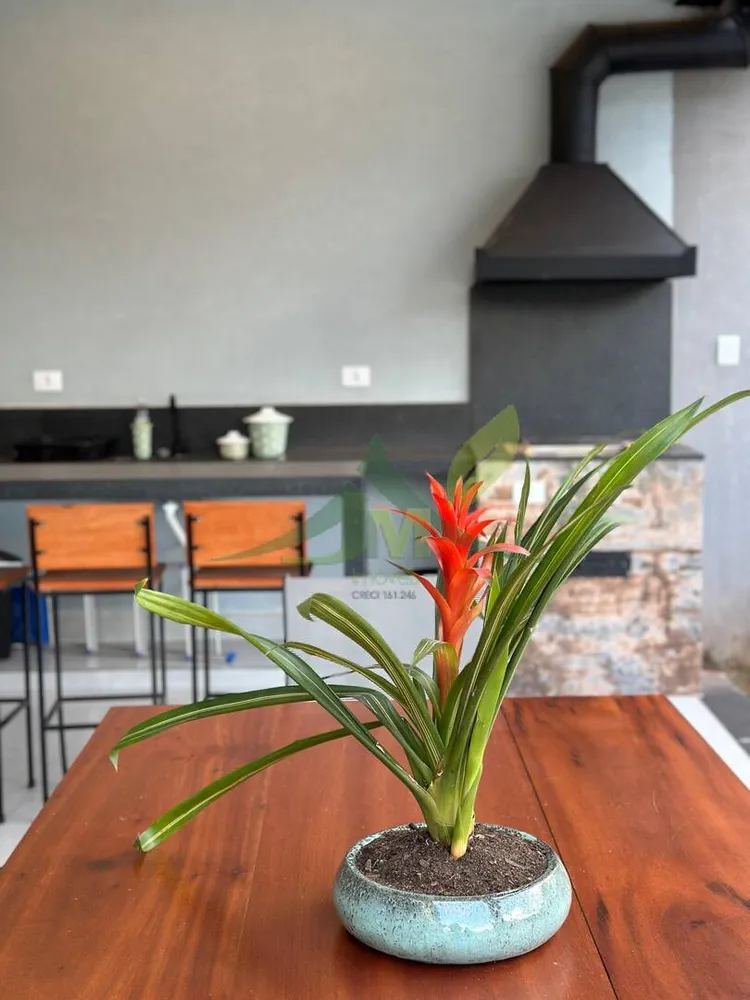 Casa, 3 quartos, 420 m² - Foto 15