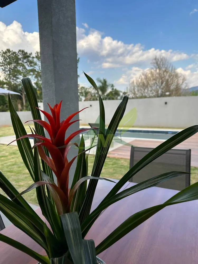 Casa, 3 quartos, 420 m² - Foto 13