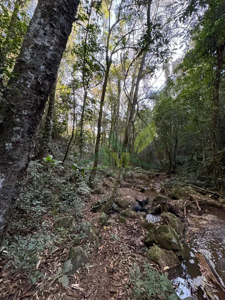 Chácara, 4 quartos, 5000 m² - Foto 11