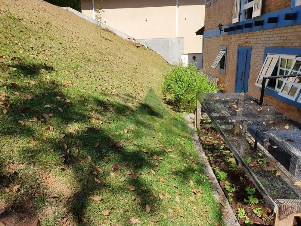 Sítio, 4 quartos, 1000 m² - Foto 2