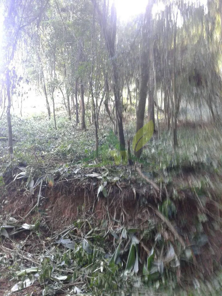 Terreno, 3370 m² - Foto 6