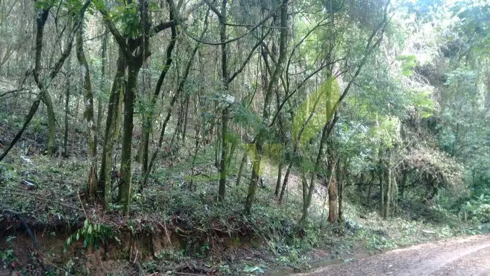 Terreno, 3370 m² - Foto 7