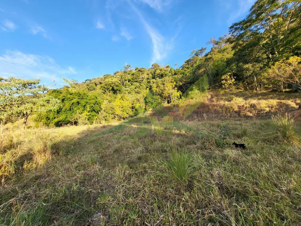 Terreno, 1 hectares - Foto 4