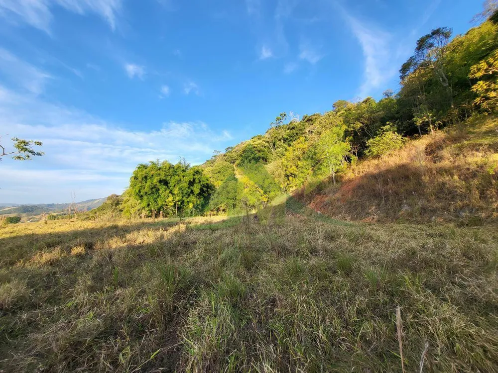 Terreno, 1 hectares - Foto 3