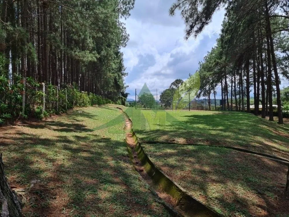 Sítio, 5 quartos, 1 hectares - Foto 1