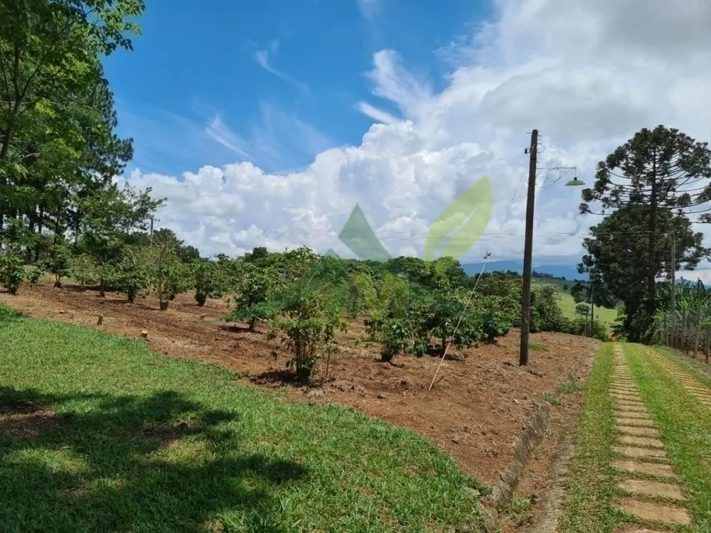 Sítio, 5 quartos, 1 hectares - Foto 8
