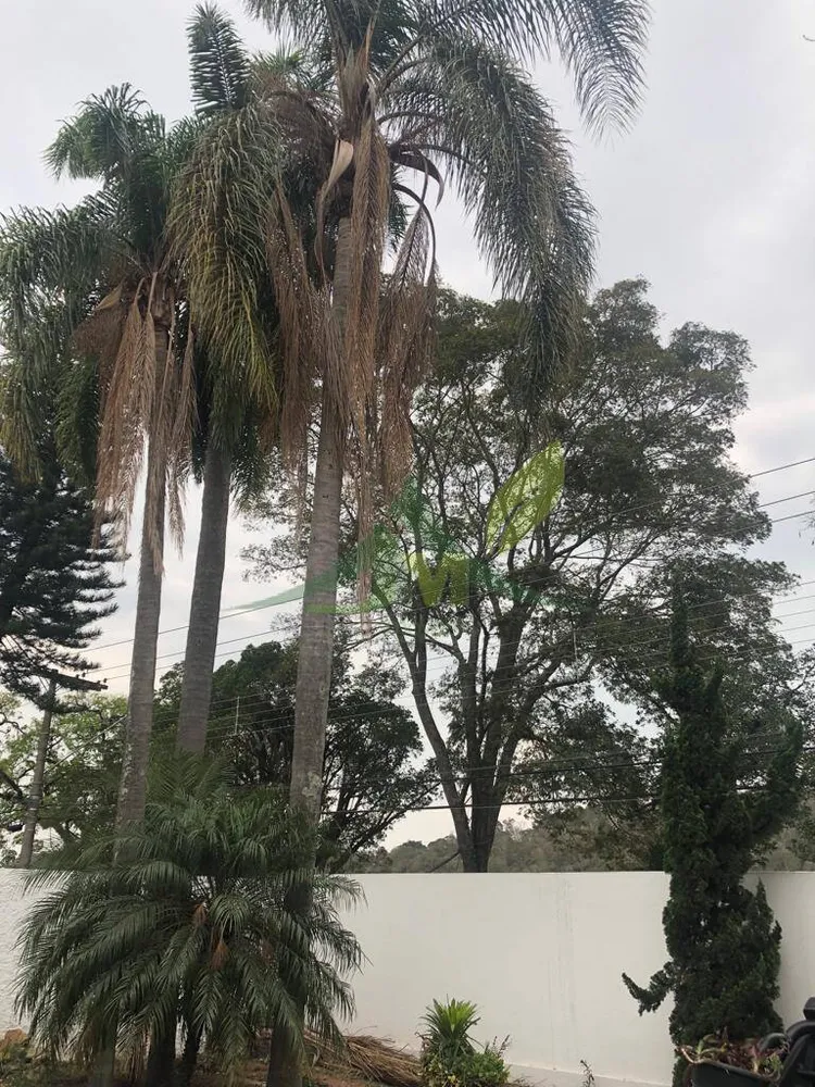 Casa, 4 quartos, 500 m² - Foto 16