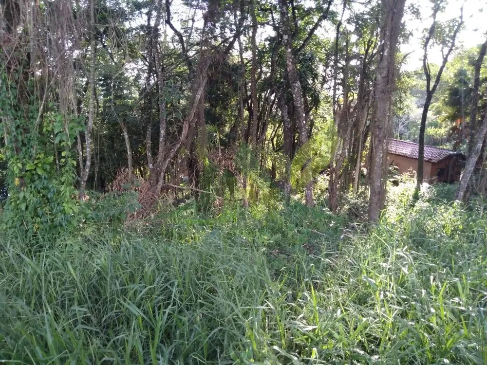 Terreno, 5100 m² - Foto 4